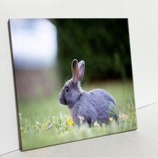 UDP 瓷磚畫框 A型, 3939050