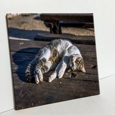 UDP 瓷磚畫框 A型, 3927627