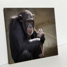 UDP 瓷磚畫框 A型, 3703230