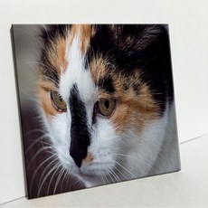 UDP 瓷磚畫框 A型, 3923936