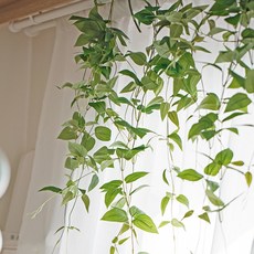 Artyparty 室內人工懸掛植物綠化小83cm, Smilax
