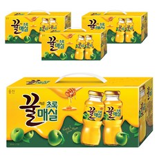 웅진 꿀먹은 초록매실 음료, 180ml, 48개