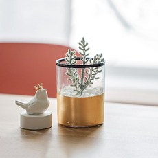 Artyparty 室內和諧金壺迷你仙人掌玻璃花瓶套組 10 cm, 格林尼