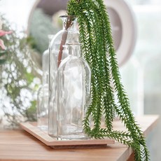 Artyparty 室內和諧懸掛植物綠化 68 厘米, 水藤