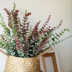 Artyparty 室內和諧桉樹81cm, 楓