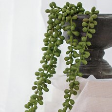 Artyparty 室內和諧懸掛植物綠化 72 厘米, 孔南濱