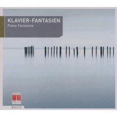 VARIOUS - PIANO FANTASIES BASICS 독일수입반, 1CD