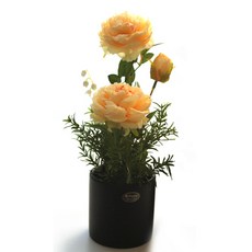 도시정원 장미소품, 옐로우, 1개
