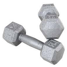 이고진 해머 육각 아령 2p, 5kg, 2개