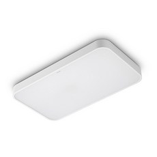 PHILIPS 飛利浦 LED室內燈 40W 6500K, 晝光色