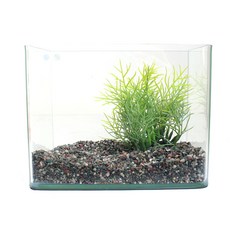 Fish Manager 人造水生植物裝飾套組魚缸, 混色