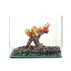 魚經理人造花套組魚缸, 混色