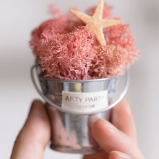 Art Party Scandia苔蘚迷你花盆冰箱磁鐵苔蘚, 淺粉色