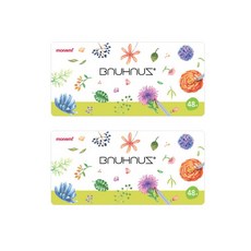 莫納米包豪斯彩色鉛筆, 48色, 1個