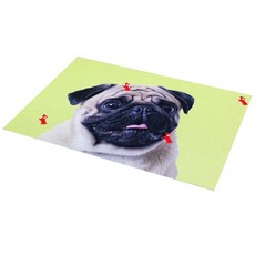 REDPUPPY 設計款披肩墊, 黃色