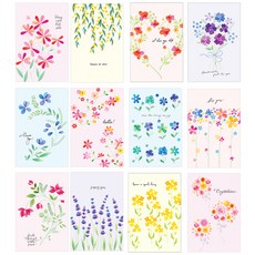 Maumdama Bloom 明信片 12款 x 5張 套組, 混合顏色, 1套