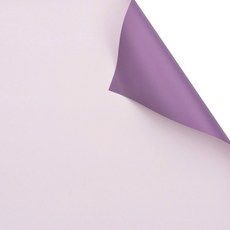 에스피글로벌 더블칼라 플라워포장지, 퍼플, 20개입