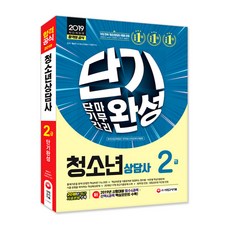 합격공식청소년상담사 2급 단기완성(2019), 시대고시기획, 홍평표