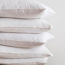 얼라이드홈 덕다운 쿠션솜