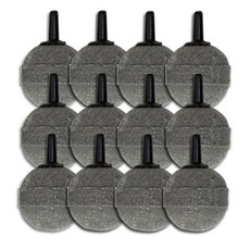 biolife 氣泡石, 12個