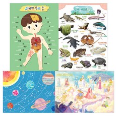 학습벽보 세트4 신비한 우리몸 + 양서파충류도감 + 우주 + 그리스신화, 시멘토