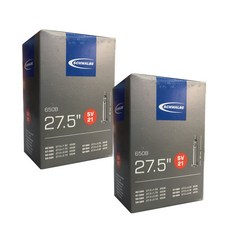 SCHWALBE 自行車內胎氣嘴 SV21, 2個