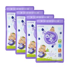 함소아 얼려먹는 하마쭈 블루베리맛, 100g, 4개