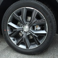 Byem Palisade碳纖維轉印貼紙 車輪點綴 3D, 1套, 混色