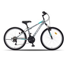 삼천리자전거 태풍SF24 21단 MTB 자전거, 다크실버, 1개