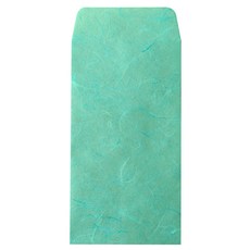 花舞愛 韓紙禮金袋 2入, NO9, 10入