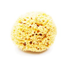 피시스 해면 스펀지 파인실크 M, 1개