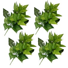 abm 人造黃金葛葉叢, 綠色