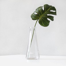 블루밍앤미 조화 몬스테라 clean 유리병 대, 투명, 2세트