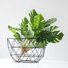 BLOOMING&ME 人造嬰兒龜背竹灌木 2p 套組, 混色