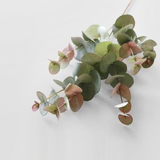 BLOOMING&ME 人造花桉樹2p套組, 紫綠