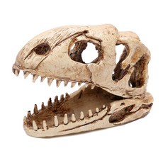 TP오션 수조 장식 TERA 공룡뼈, 1개