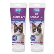 펫에그 고양이 젤 영양제, 유리너리, 2개