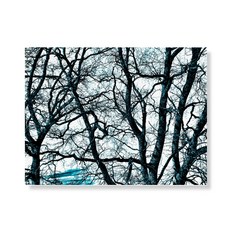 Little Hiker Tree 帆布印刷畫框A3W36 16