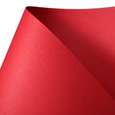 Color Parade 色紙 4開 160g 9號紅色, 20入, 20頁