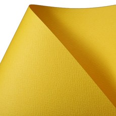 彩色遊行 圖畫紙 4開 160g 1號黃色, 20個