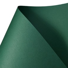 samwon PAPER Color Parade 4開 20深綠色 160g, 40入, 40個