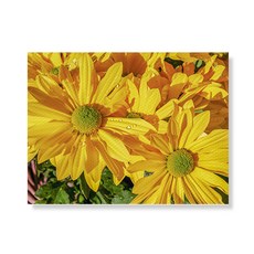 Little Hiker flower 帆布印刷畫框 A3W35 165