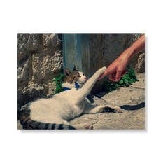 Little Hiker Cat 帆布印刷畫框 A3W36 13