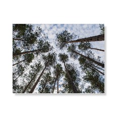 리틀하이커 Tree 帆布印刷畫框 A3W36 38