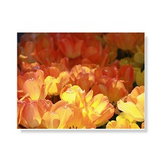 Little Hiker flower 帆布印刷畫框 A3W35 126