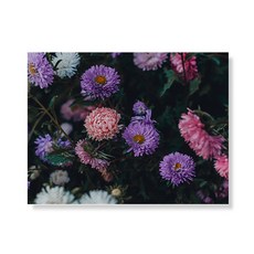 LITTLE HIKER flower 帆布印刷畫框 A3W35 170