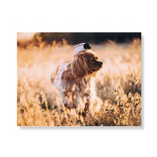 Little Hiker Dog 帆布印刷相框 A3W36 37