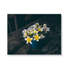 Little Hiker flower 帆布印刷畫框 A3W35 139