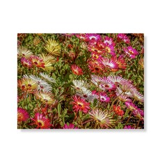 Little Hiker flower 帆布印刷畫框 A3W35 93