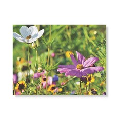 Little Hiker flower 帆布印刷畫框 A3W35 101